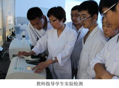 依照《97国际游戏app入口登录账号