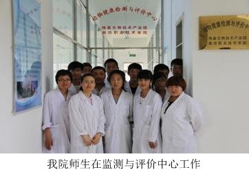 教育部关于《高等职业教育创新发展行动