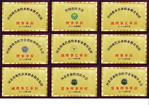 动物科学与技术系是中国兽医学会