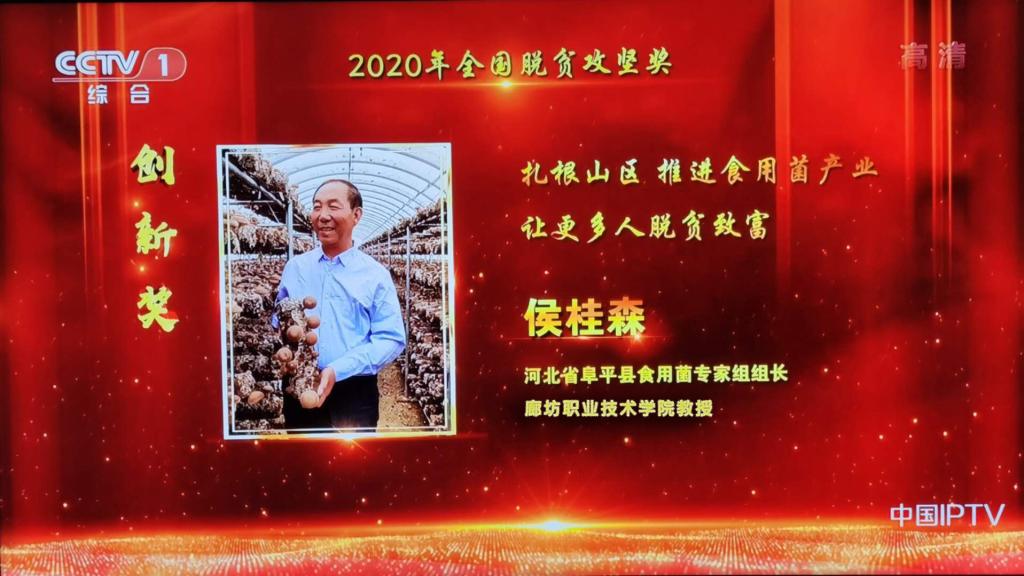 97国际游戏app入口