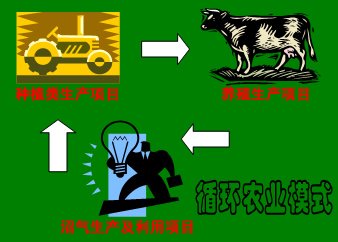 生产性校内实训基地